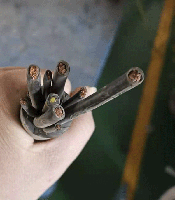 ����max(�й���)���޹�˾����