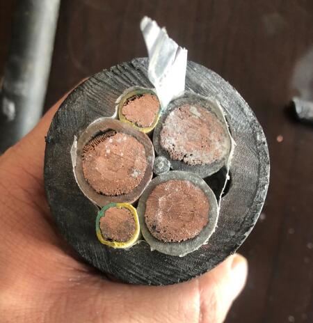 ����max(�й���)���޹�˾����