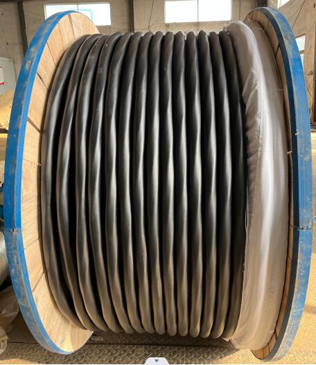 ����max(�й���)���޹�˾����