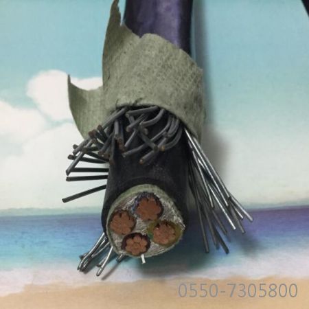 狗万·max(中国游)有限公司官网