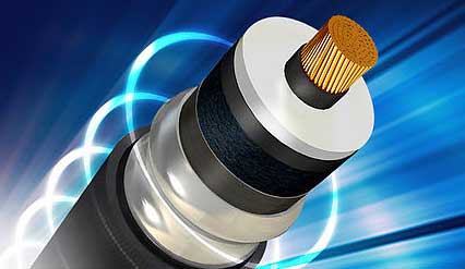 ����max(�й���)���޹�˾����