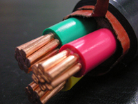 ����max(�й���)���޹�˾����