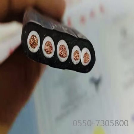 ����max(�й���)���޹�˾����