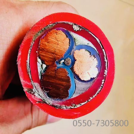 ����max(�й���)���޹�˾����