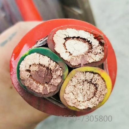 ����max(�й���)���޹�˾����