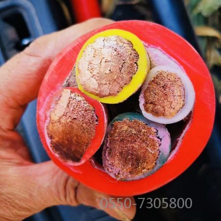 ����max(�й���)���޹�˾����