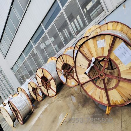 ����max(�й���)���޹�˾����