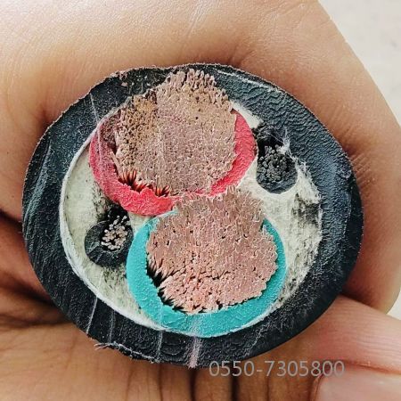 ����max(�й���)���޹�˾����