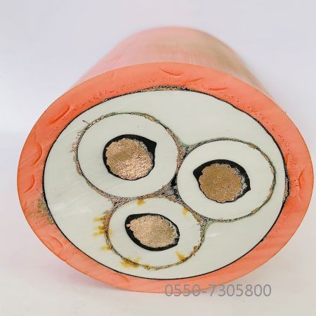 ����max(�й���)���޹�˾����