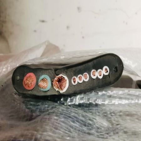 狗万·max(中国游)有限公司官网