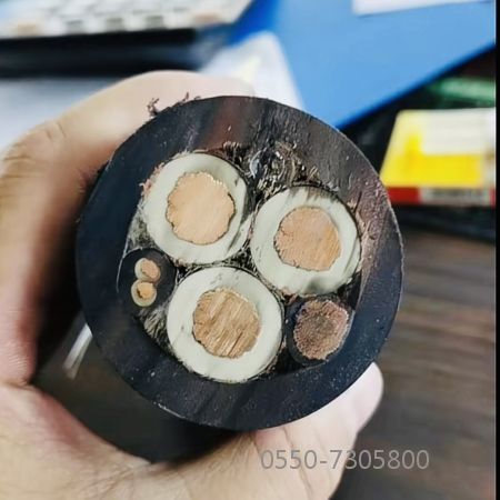 ����max(�й���)���޹�˾����