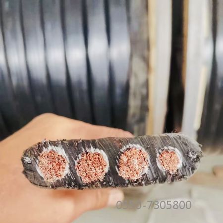 ����max(�й���)���޹�˾����