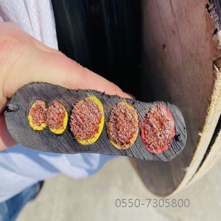 狗万·max(中国游)有限公司官网