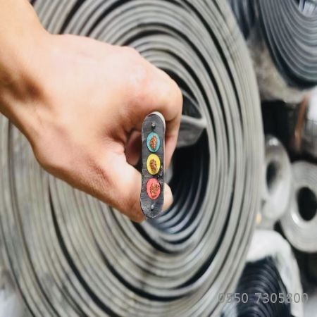 ����max(�й���)���޹�˾����