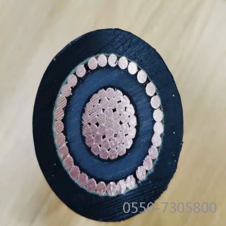 ����max(�й���)���޹�˾����