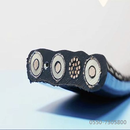 ����max(�й���)���޹�˾����