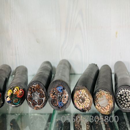 ����max(�й���)���޹�˾����