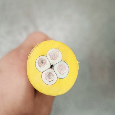 ����max(�й���)���޹�˾����