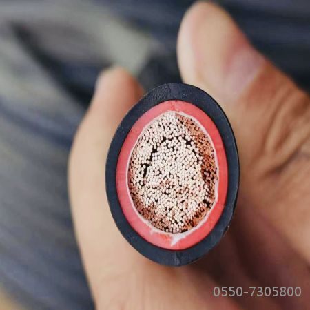 ����max(�й���)���޹�˾����