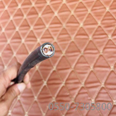 ����max(�й���)���޹�˾����