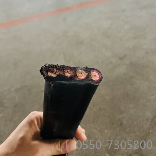 ����max(�й���)���޹�˾����