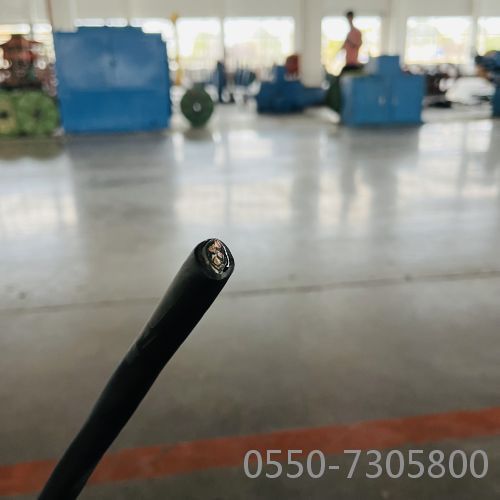 ����max(�й���)���޹�˾����