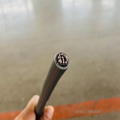 ����max(�й���)���޹�˾����