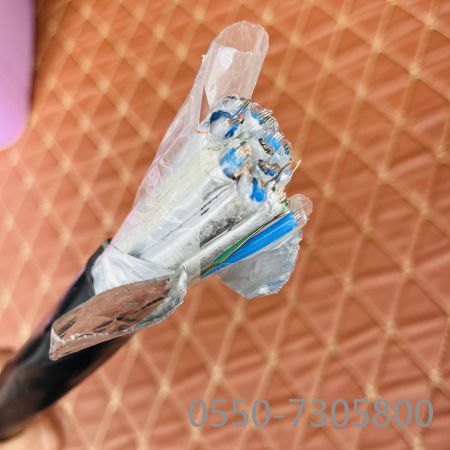 ����max(�й���)���޹�˾����