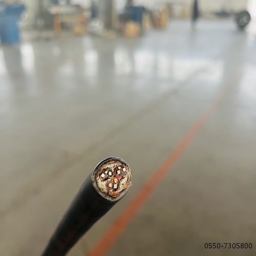 ����max(�й���)���޹�˾����