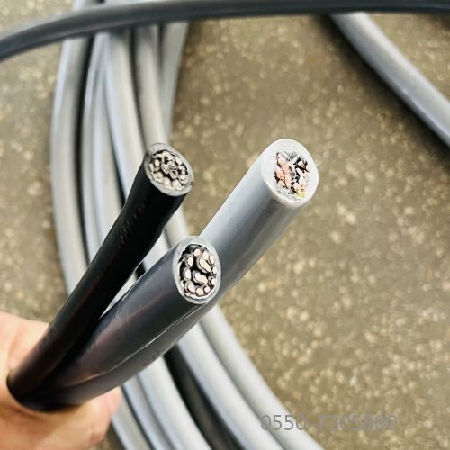 ����max(�й���)���޹�˾����