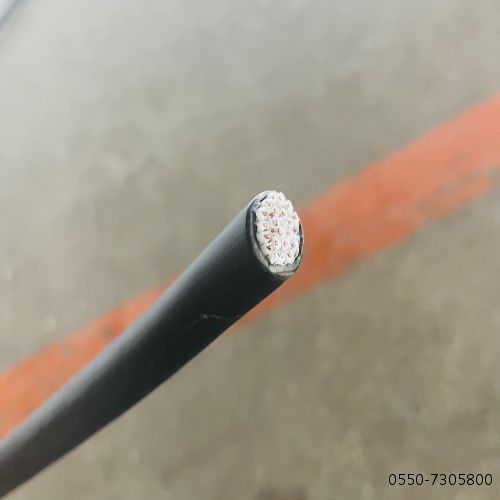 ����max(�й���)���޹�˾����