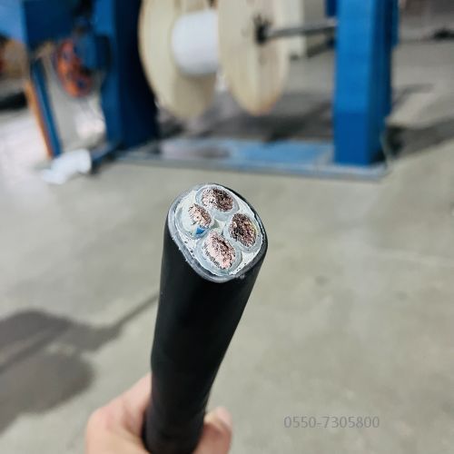 ����max(�й���)���޹�˾����