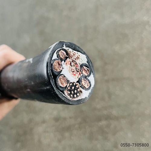 ����max(�й���)���޹�˾����