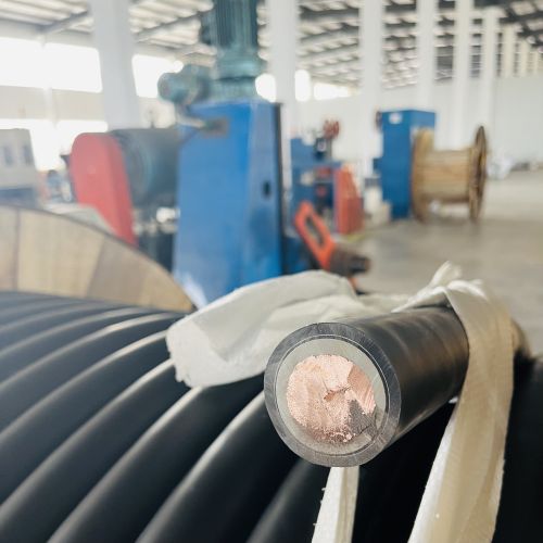 ����max(�й���)���޹�˾����