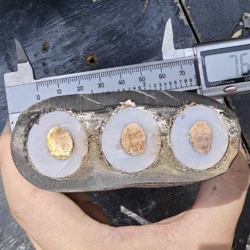 ����max(�й���)���޹�˾����