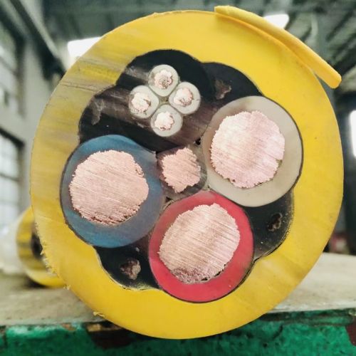 ����max(�й���)���޹�˾����