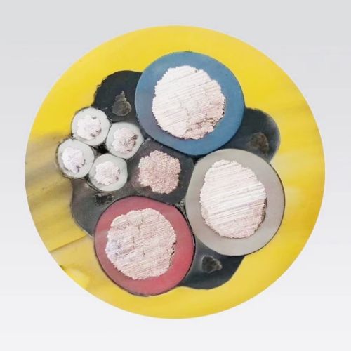 ����max(�й���)���޹�˾����