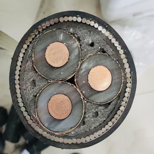 ����max(�й���)���޹�˾����