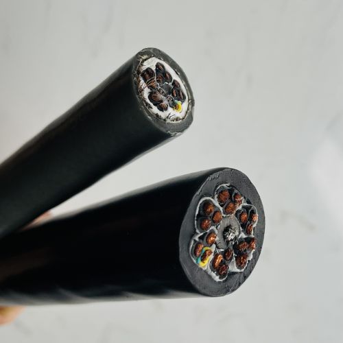 ����max(�й���)���޹�˾����