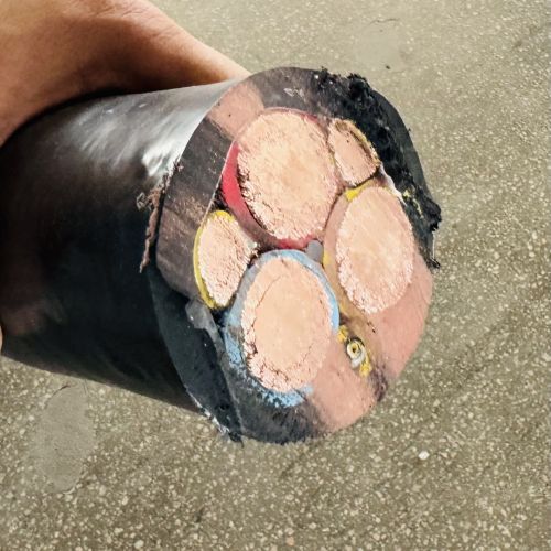 ����max(�й���)���޹�˾����