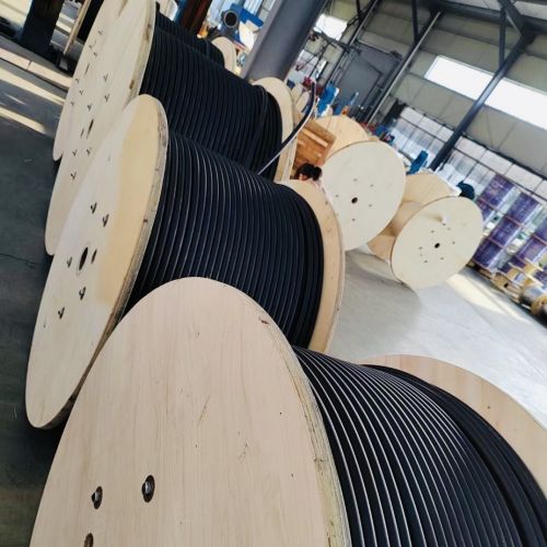 ����max(�й���)���޹�˾����