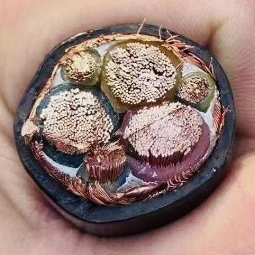 狗万·max(中国游)有限公司官网