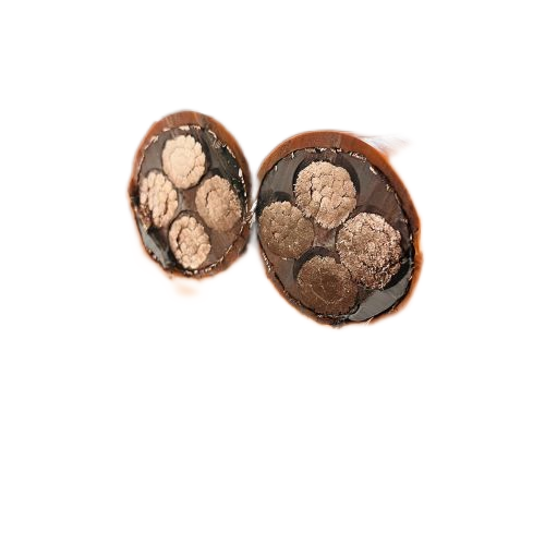 ����max(�й���)���޹�˾����