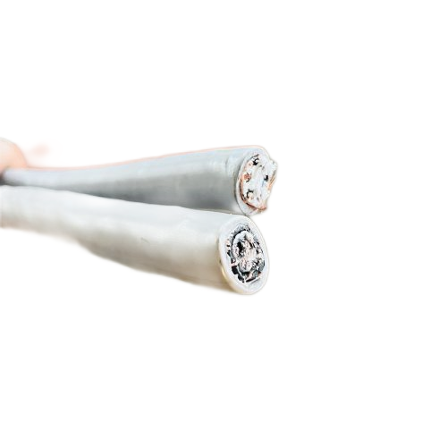 ����max(�й���)���޹�˾����