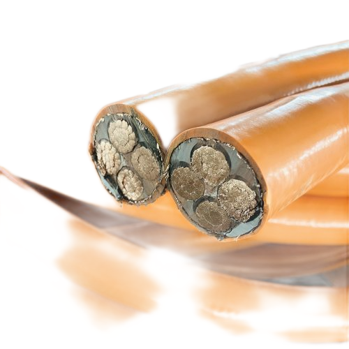 ����max(�й���)���޹�˾����