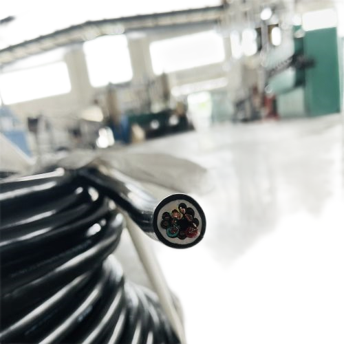 ����max(�й���)���޹�˾����