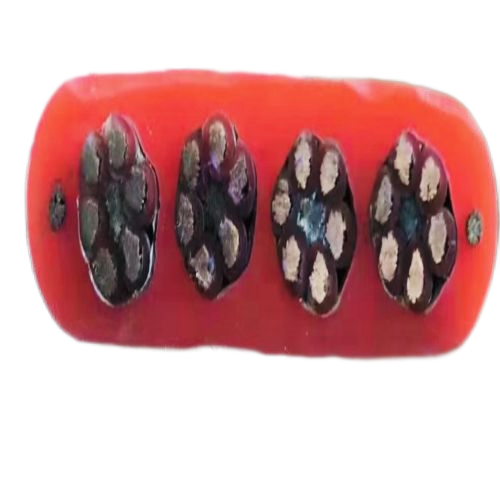 ����max(�й���)���޹�˾����