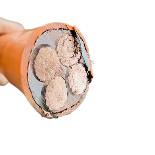 ����max(�й���)���޹�˾����