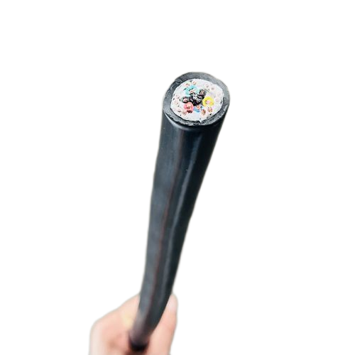 ����max(�й���)���޹�˾����