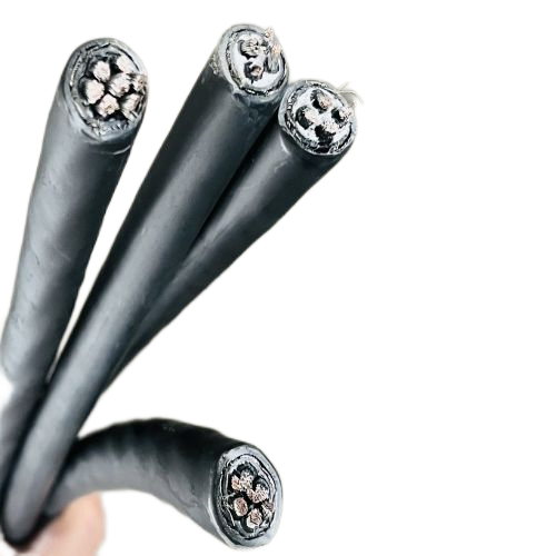 ����max(�й���)���޹�˾����